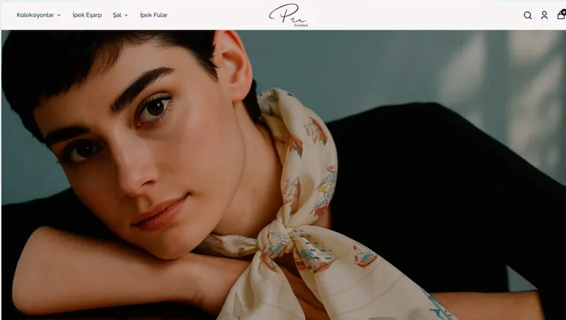 Pir İstanbul web sitesi ana sayfası