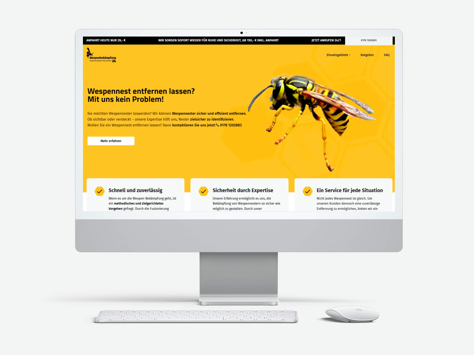 Wespenbekämpfung 24 website